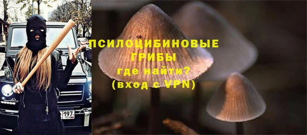 Альфа ПВП Бугульма