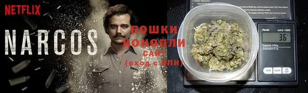 дурь Бронницы