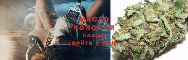 таблы Бородино