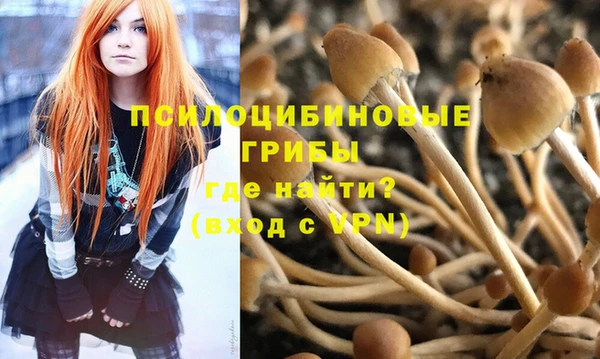 Альфа ПВП Бугульма