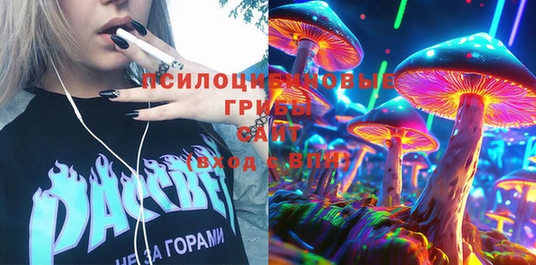 таблы Бородино