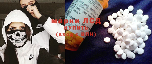 таблы Бородино