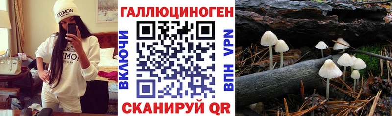 Галлюциногенные грибы ЛСД  KRAKEN вход  Ростов  как найти  